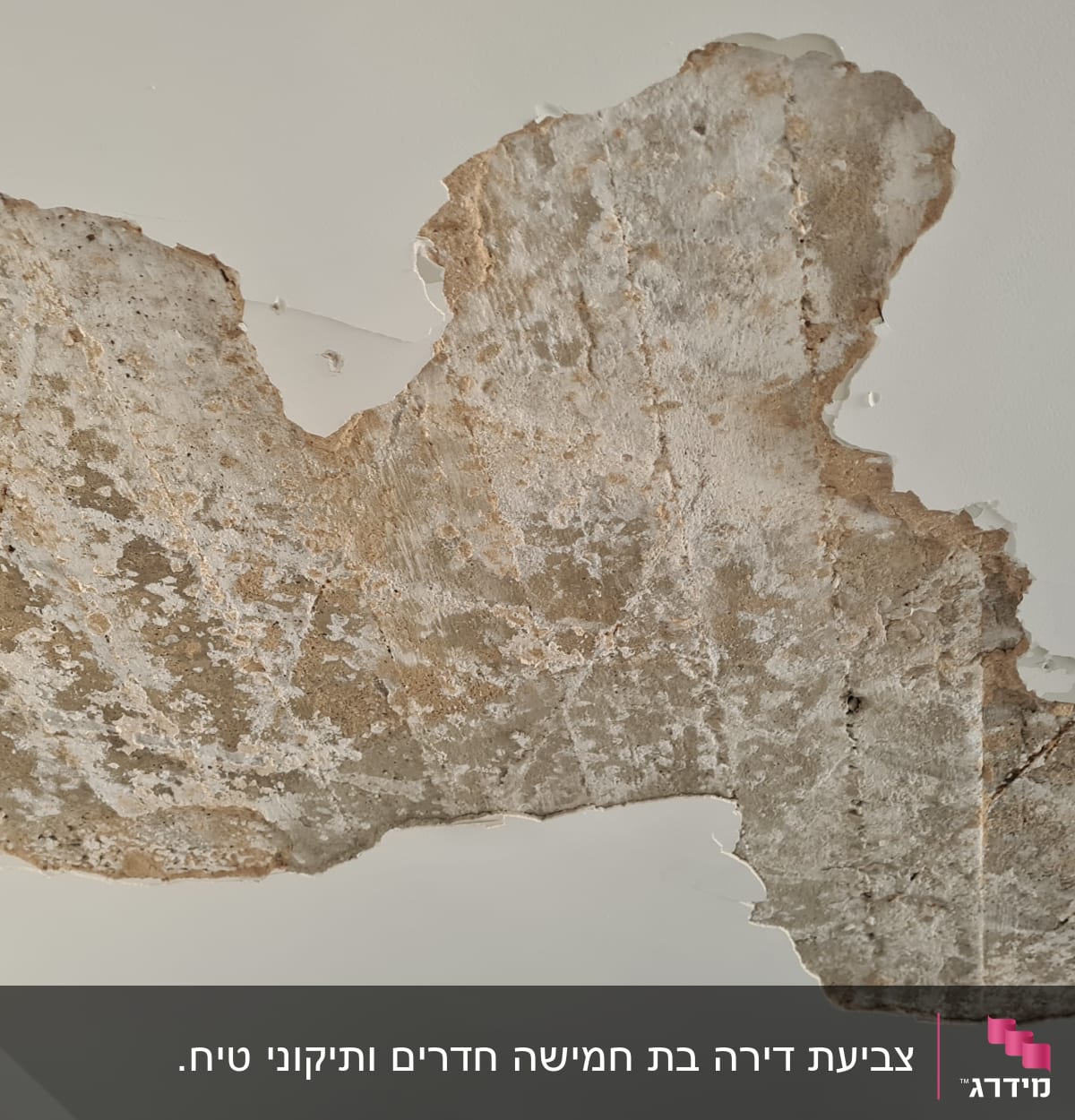 קיר עם צבע מתקלף ותיקונים נדרשים
